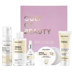 Набір для обличчя Hollyskin Snail Smart Care Maxi Set